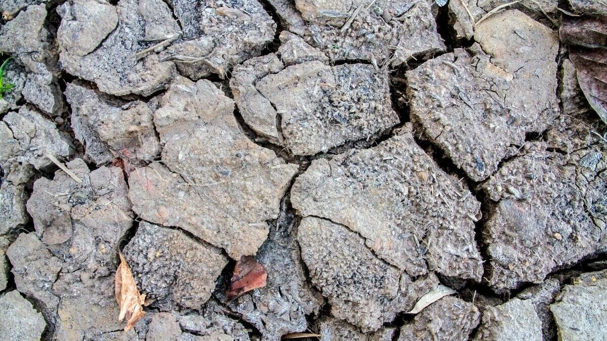     Землетрясение произошло ночью в районе Каспийского моря, следует из данных сайта Европейского средиземноморского сейсмологического центра.