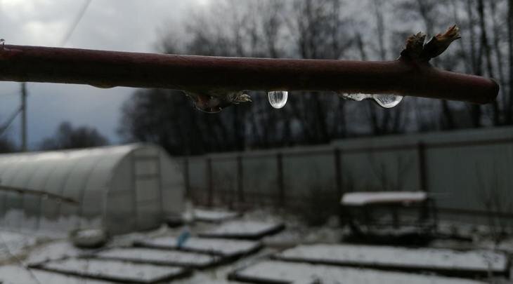    Сроки весенней обрезки плодовых - важное