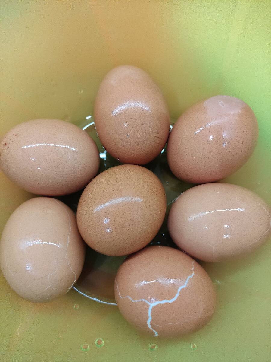 Фото из личного архива