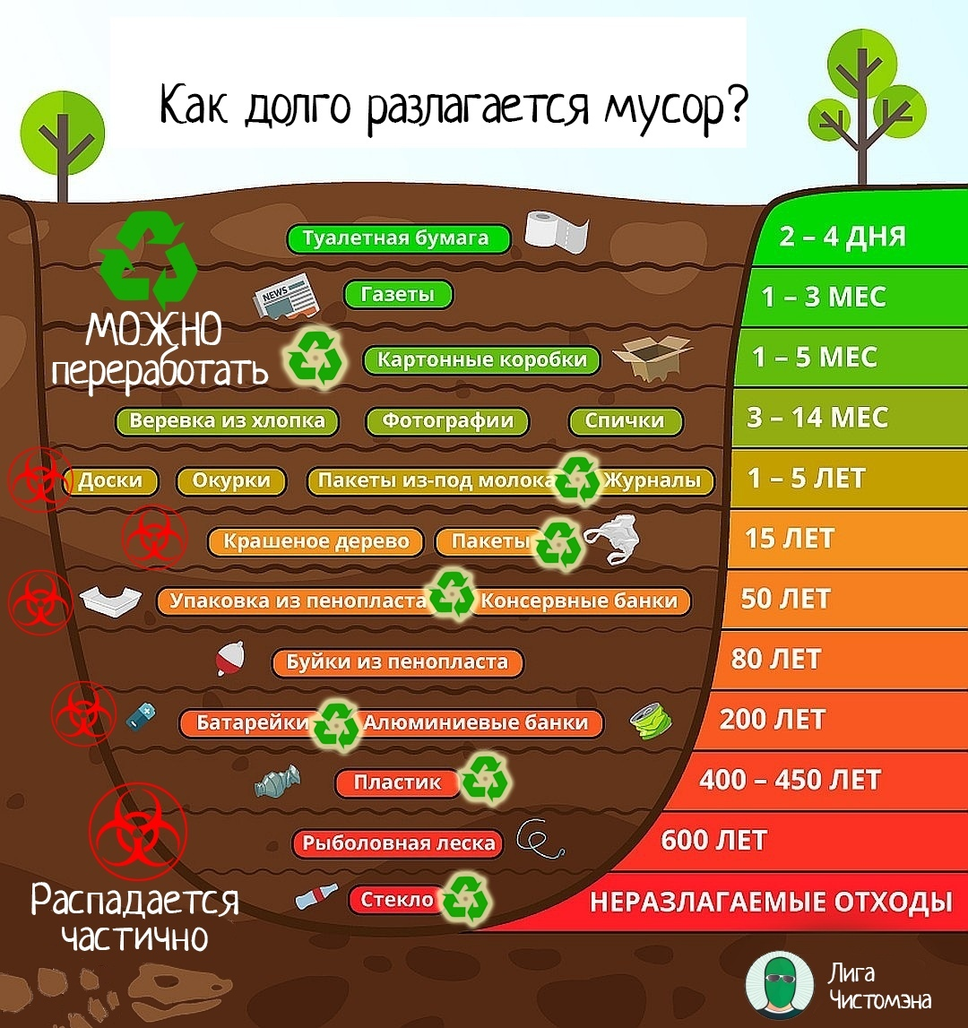 Сколько разлагается туалетная бумага