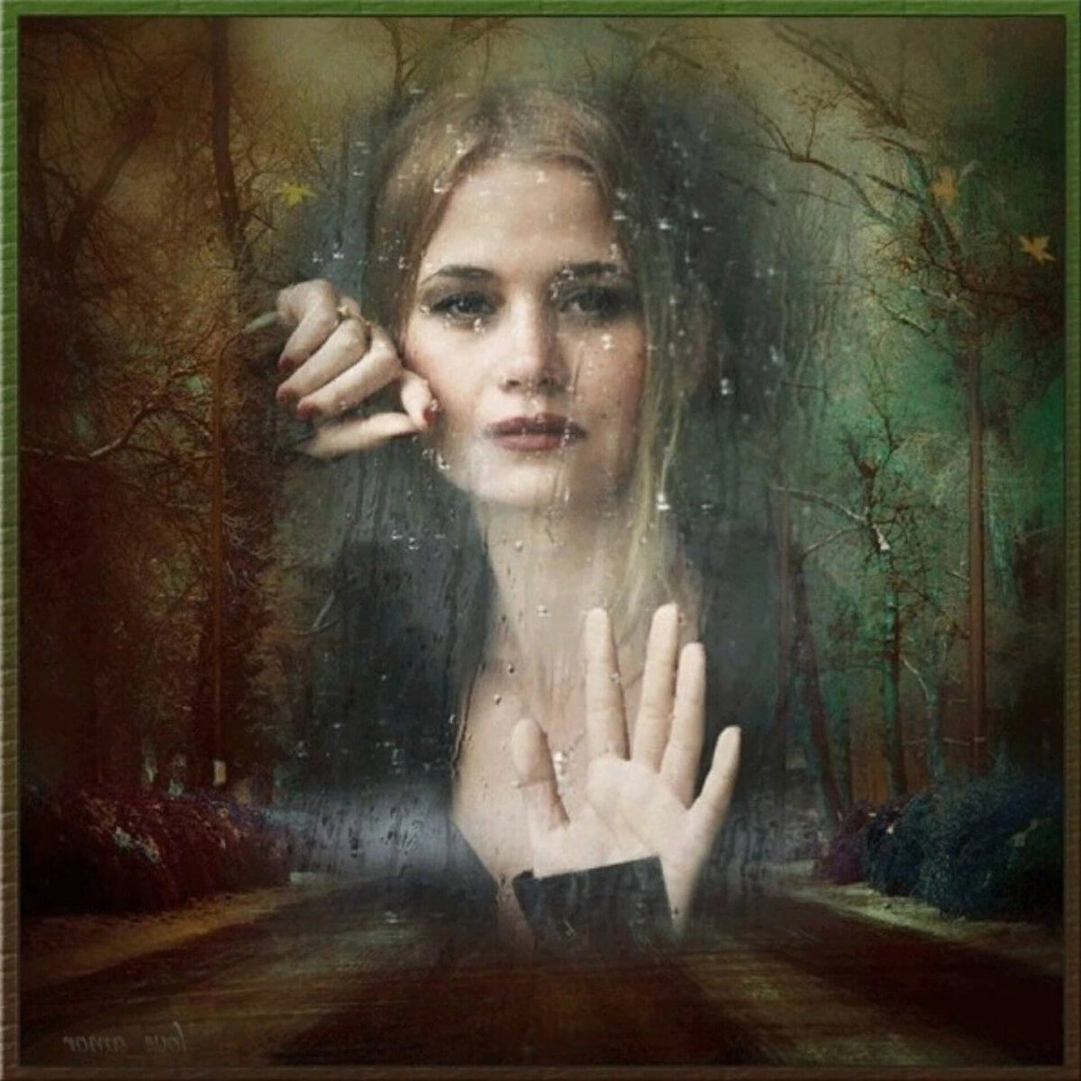 Изображение отредактировано в программе InShot 