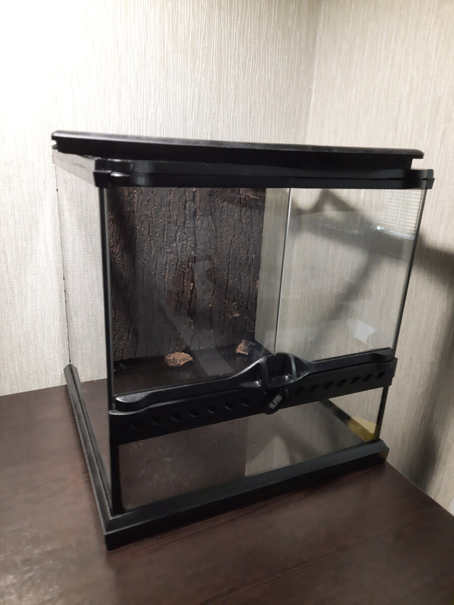 Новый террариум