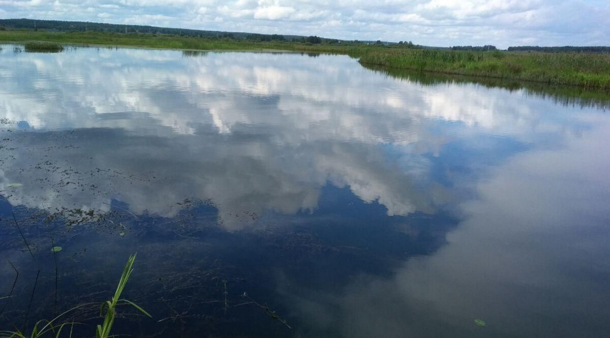 Река Миасс, август 2020 г.