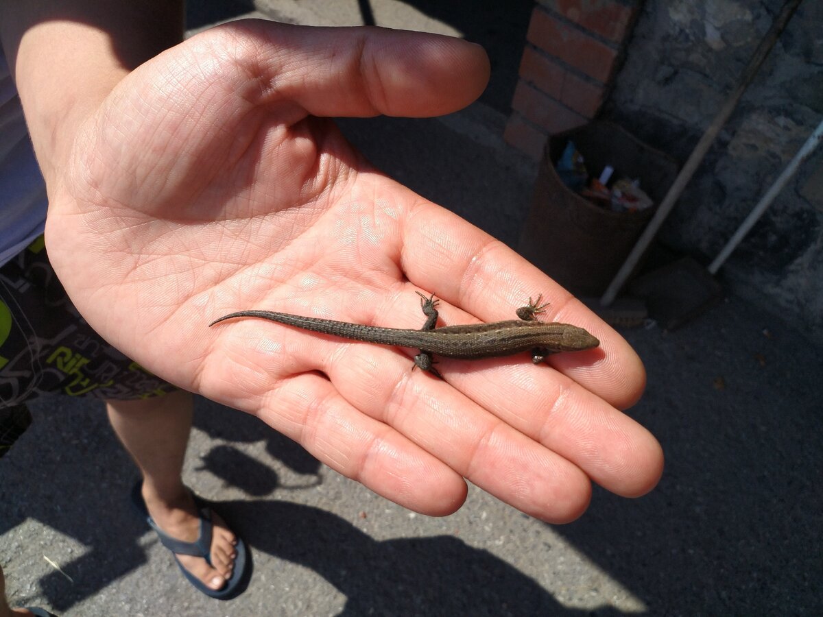 Какие же они милые :)