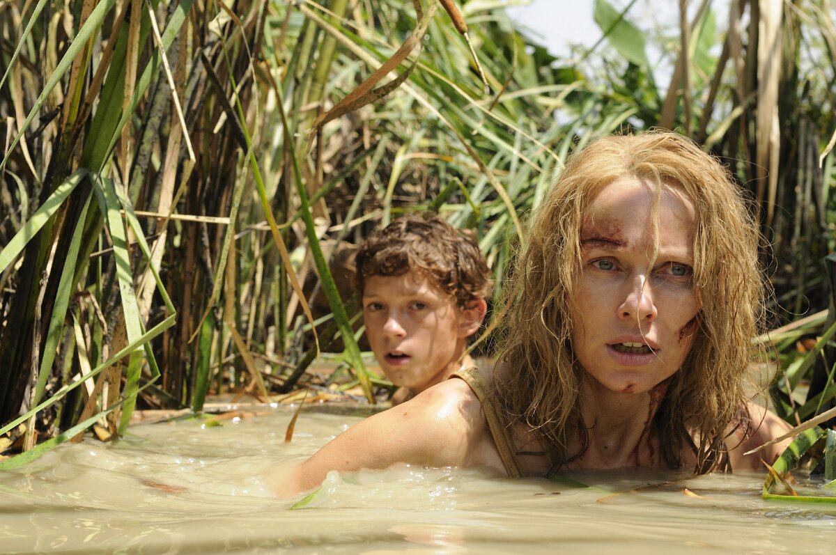 Lo imposible, 2012 