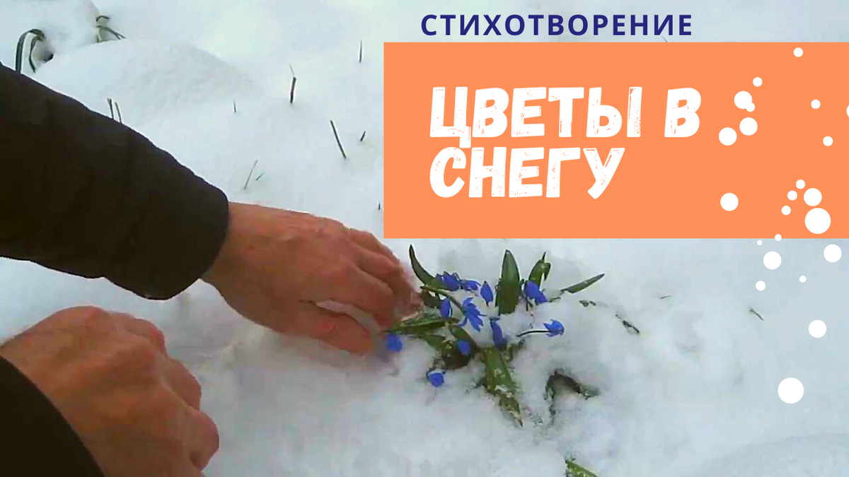 Цветы в снегу. Стихотворение.