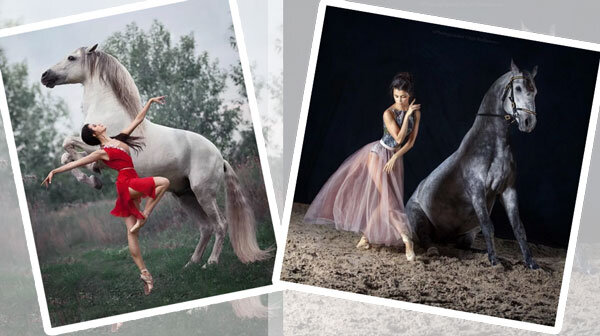 Источник фото сервис Яндекс.Картинки