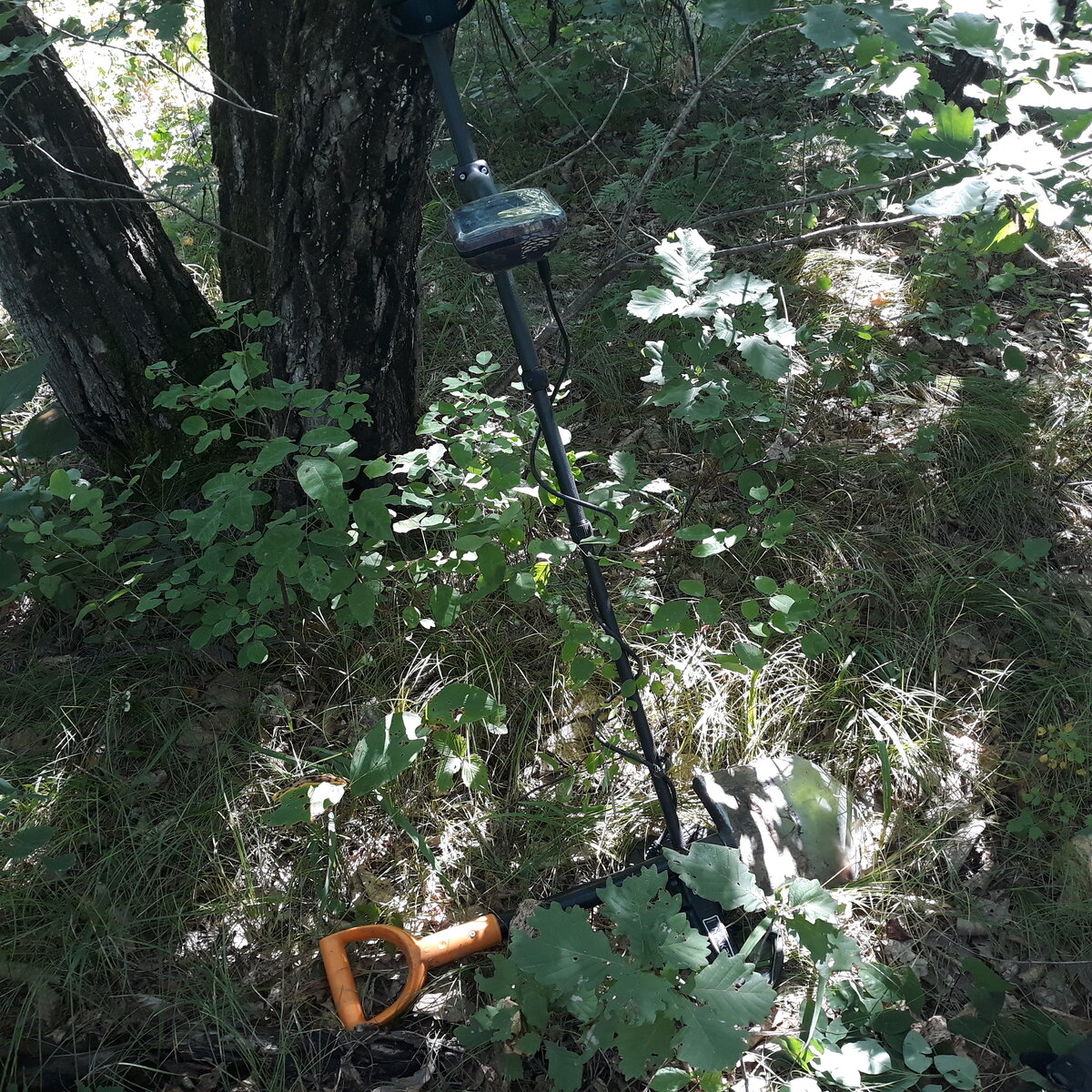 Мои инструменты поиска