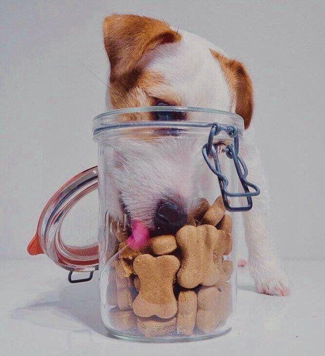 Готовьтесь прятать печеньки :)