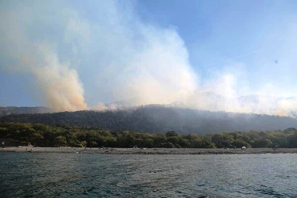 Фото очевидцев