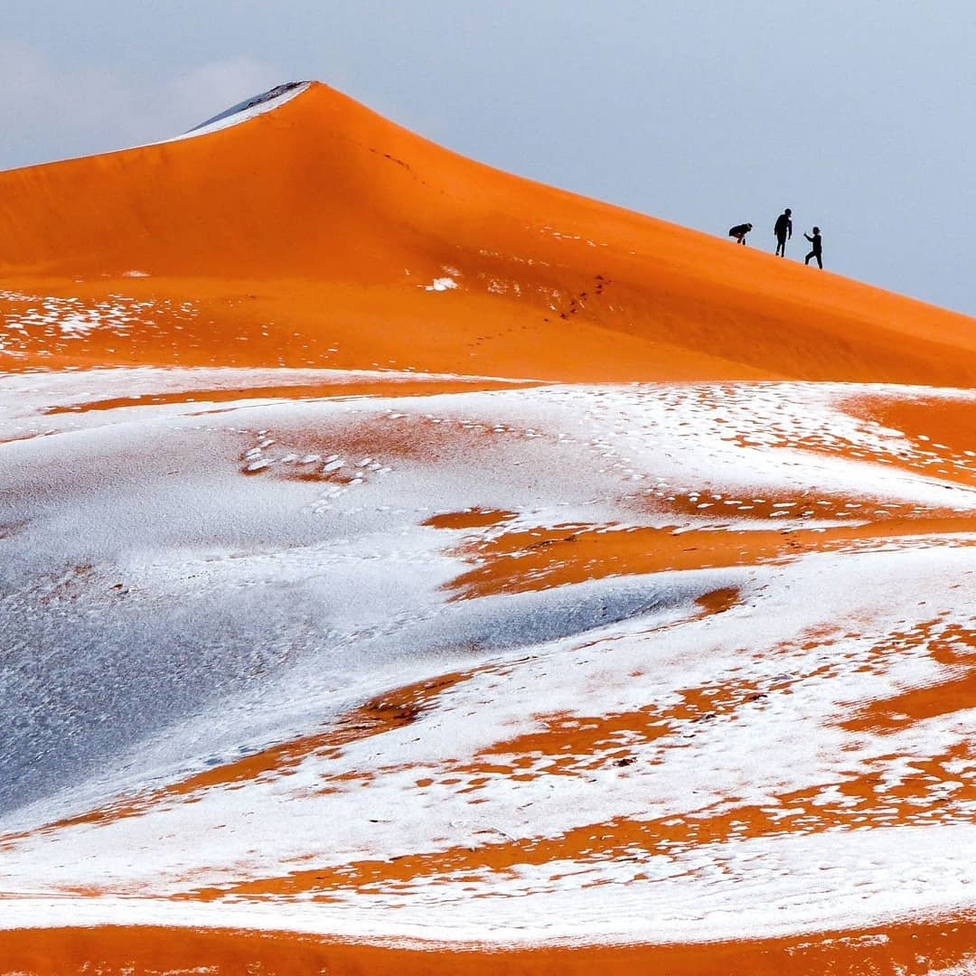 Cold desert. В пустыне сахара выпал снег 1979. Снег в пустыне сахара. Сахара 1979. Снег в сахаре.