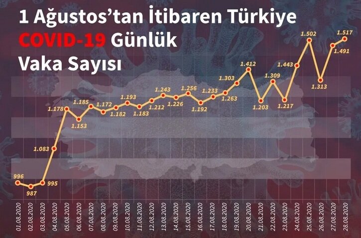 Статистика по Турции с 1 по 28 августа. Все понятно без слов. Фото из сети