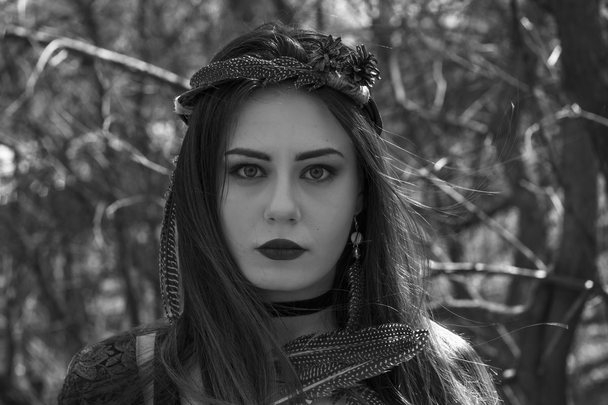 Яндекс.картинки