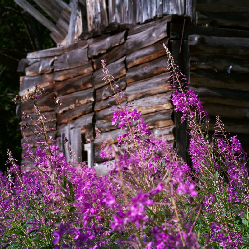 Фото Натальи Жуковой