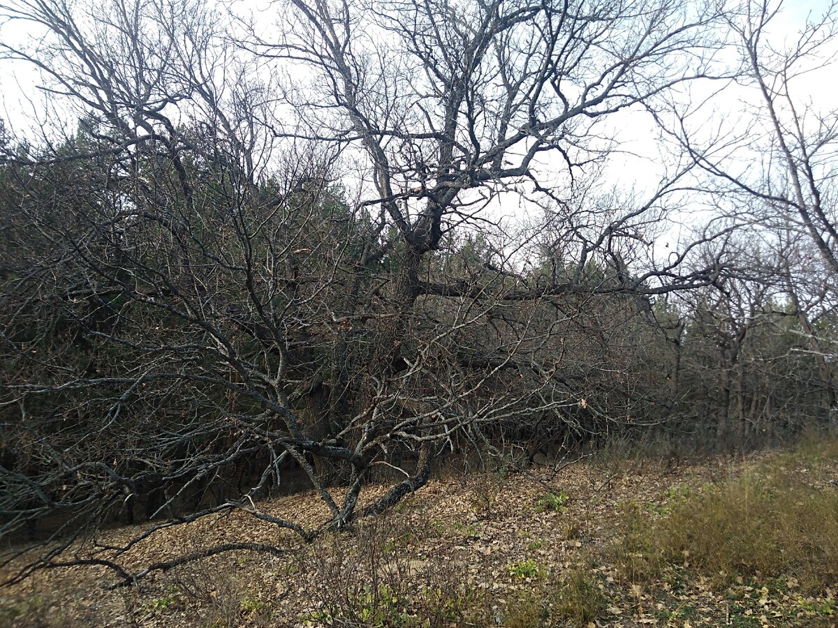 Поиск возвышенностей