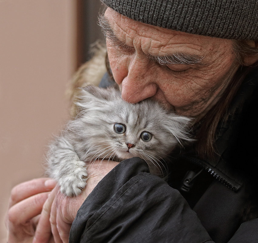 Источник: "Яндекс.Картинки"