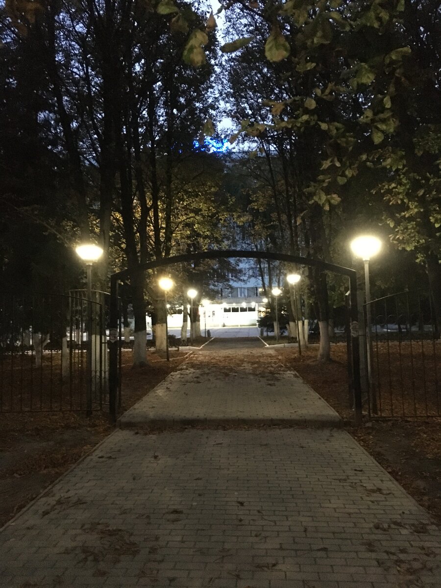 Фото автора. Я иду домой с работы