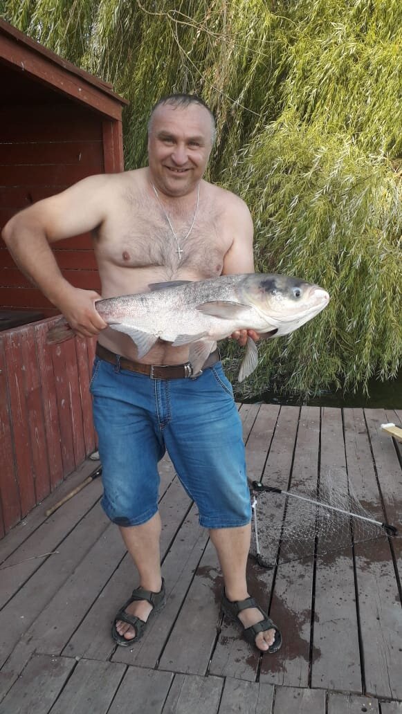 Из личного архива, авторские права