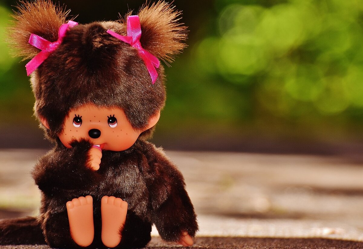 фото с сайта pixabay