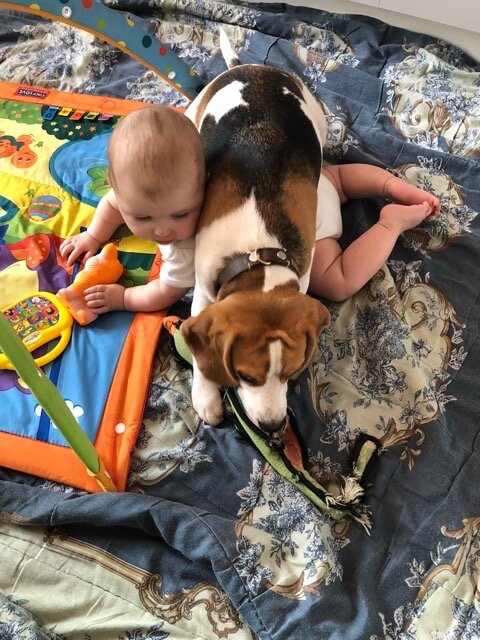 А мне и так удобно !