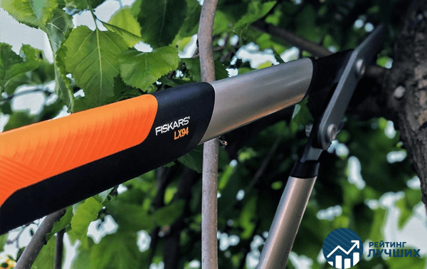 Рейтинг лучших сучкорезов