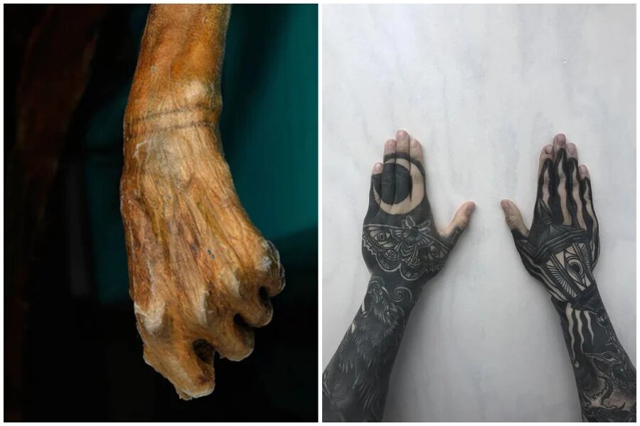 следы татуажа