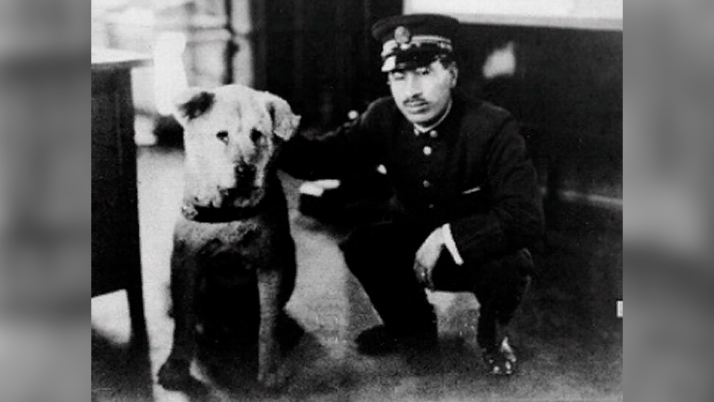 Хатико 1925. Хидэсабуро Уэно и Хатико. Хатико 1934. Хатико 1925 с хозяином.