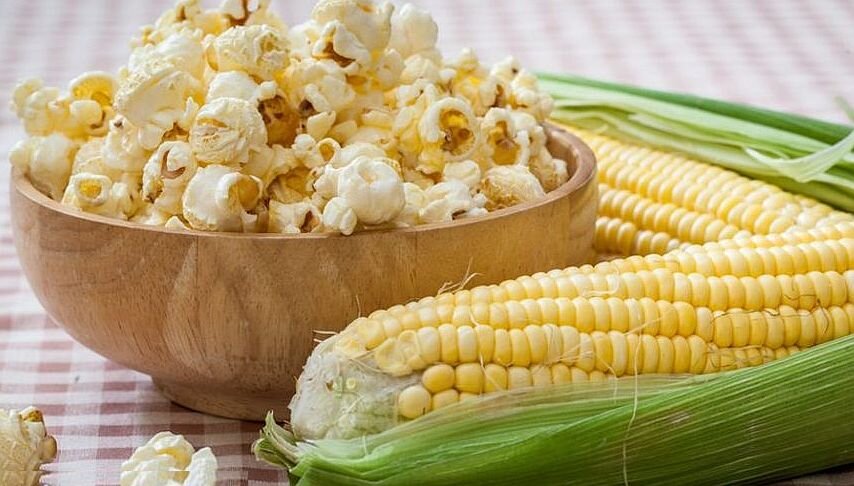 Любимое лакомство. Фото из архива