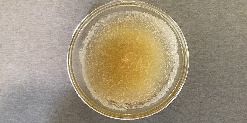 замочить желатин в холодной