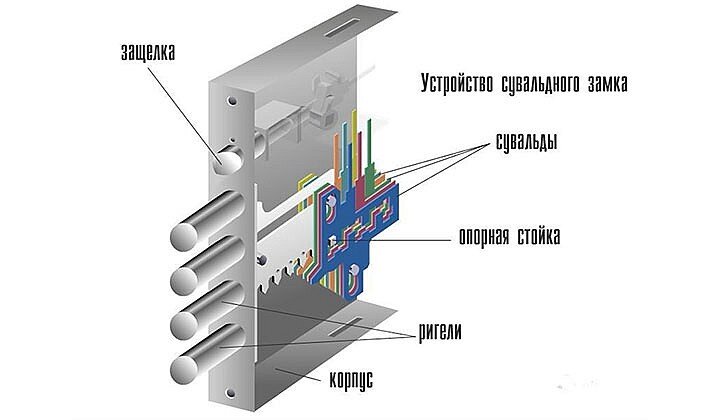 Фото из открытого источника.