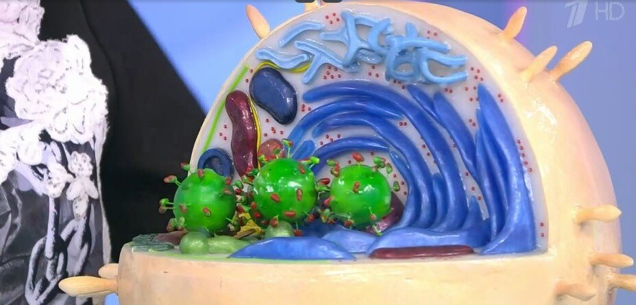 Вирус внутри клетки