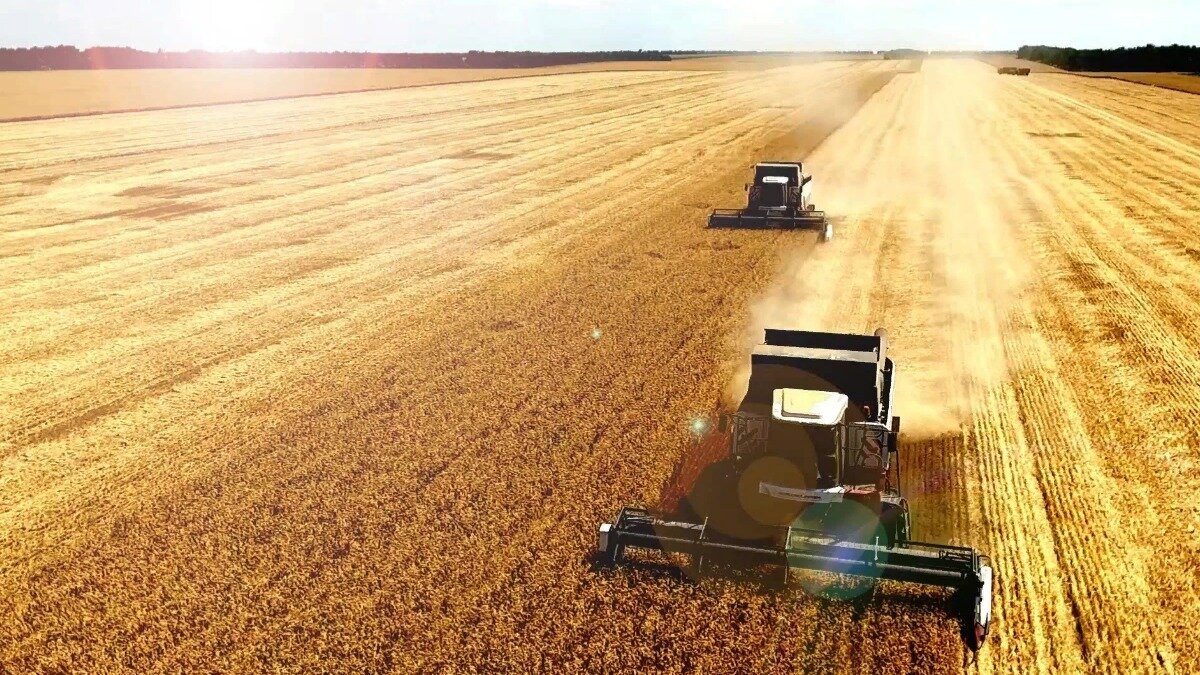 Фото с сайта https://glavagronom.ru