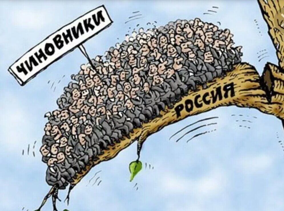 карикатура из инета