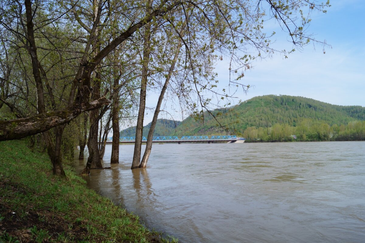 Мост через р. Уса. На другом берегу расположены обогатительные фабрики, шахта Распадская. 