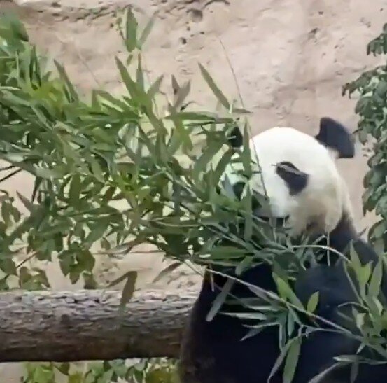 Скриншот со страницы Ксении Бородиной в Инстаграм