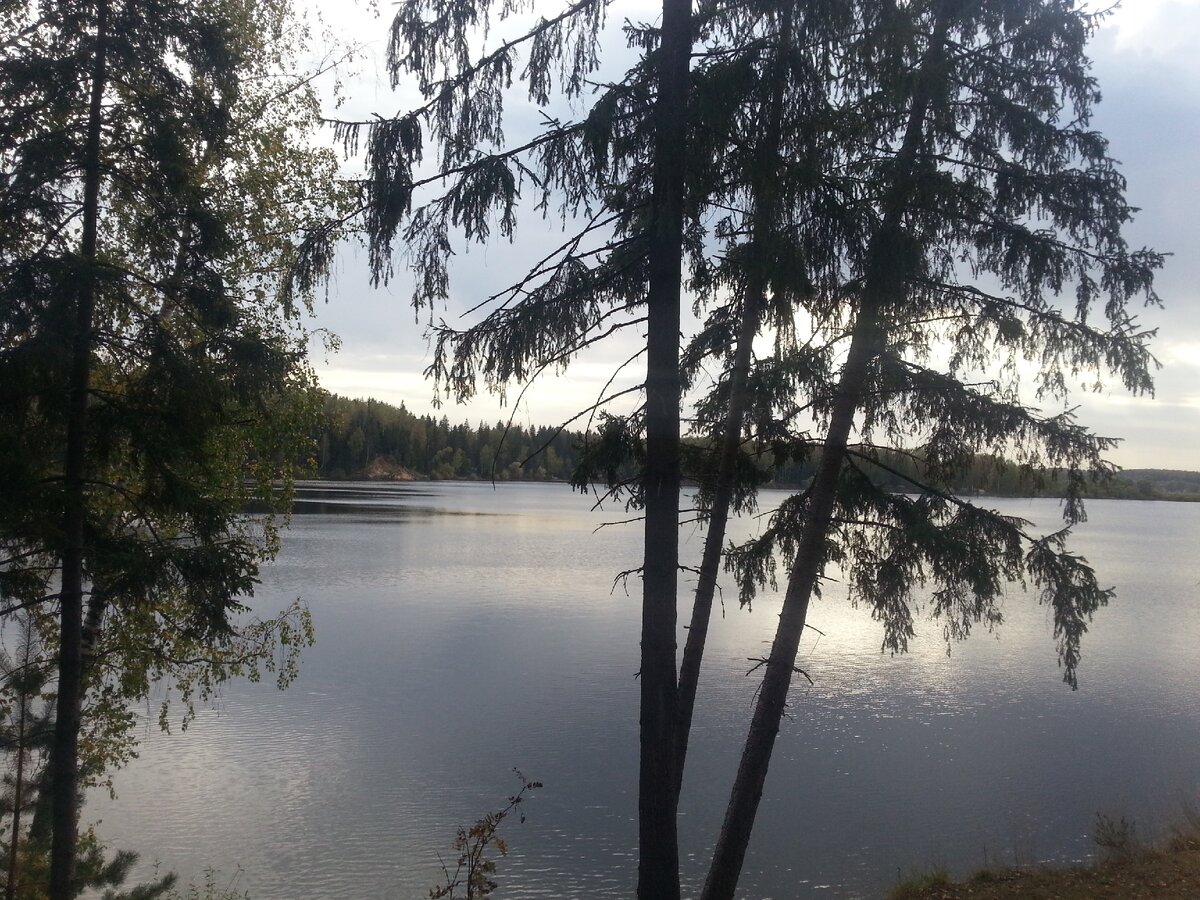 Фото моё. Маленький кусочек Озернинского водохранилища.