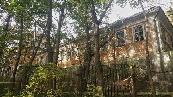 Здание Померанцевой оранжереи осенью 2020 года