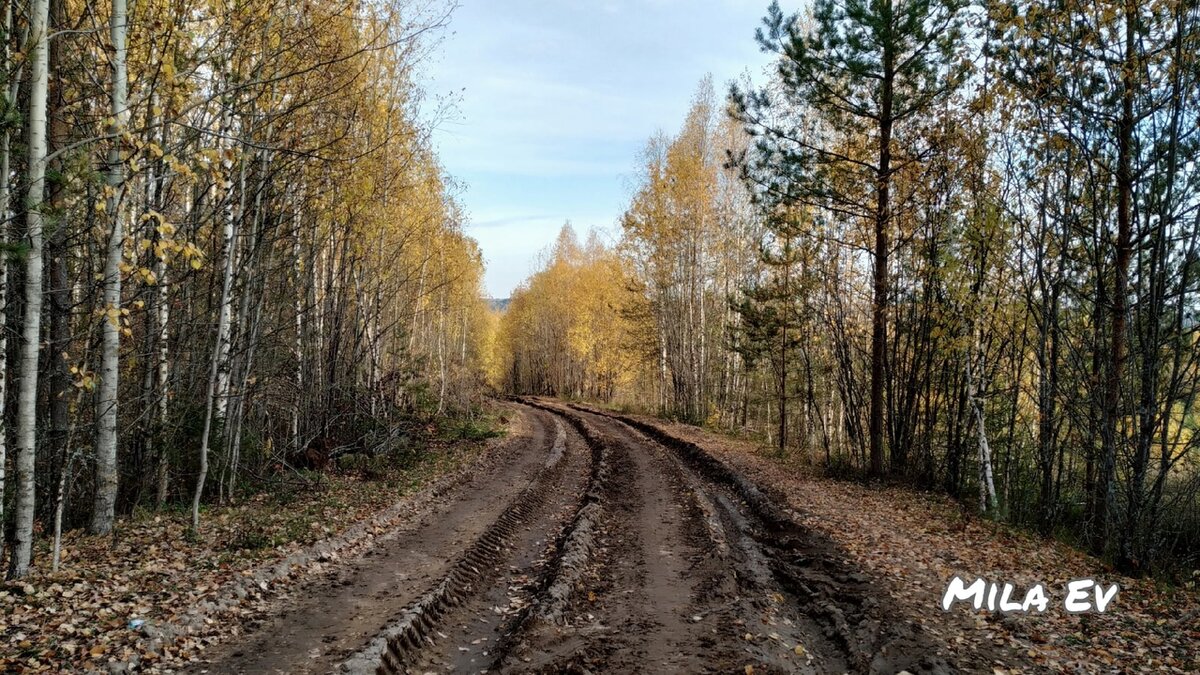 Октябрь, 2020