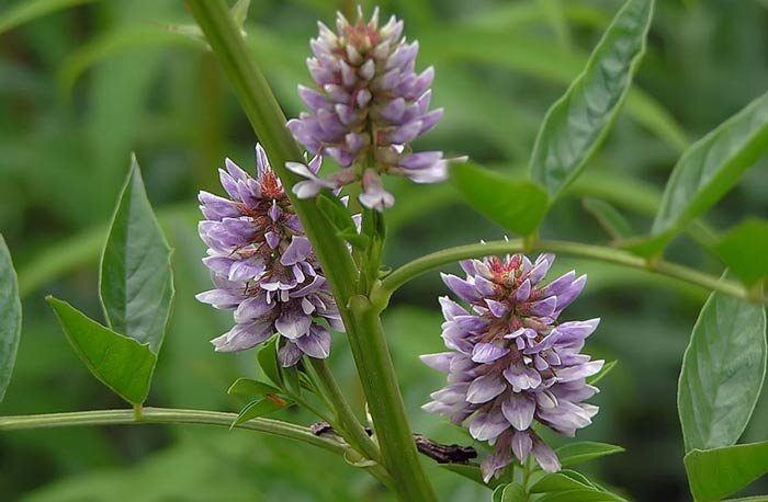 фото с Яндекс.картинки