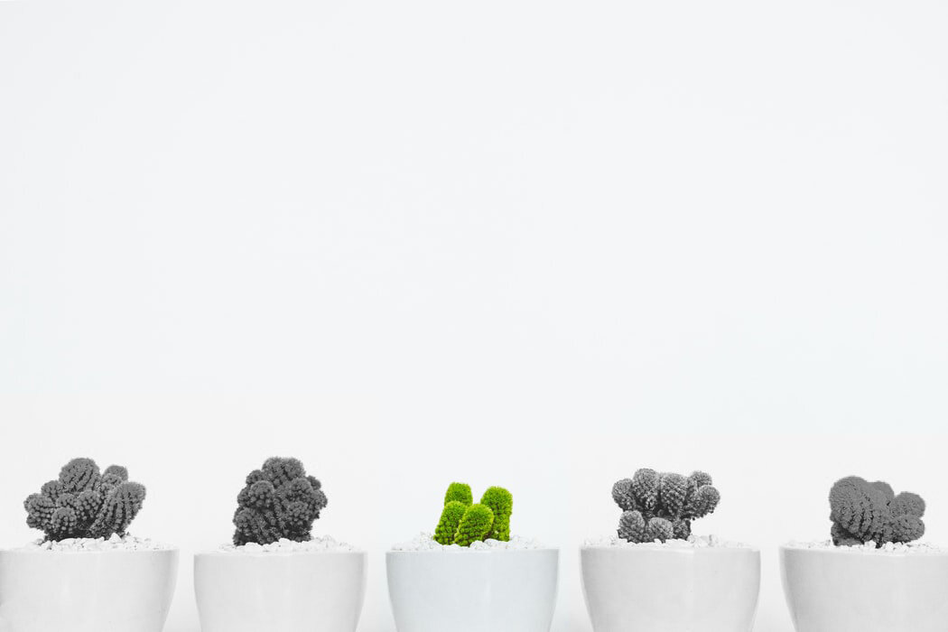 Фото: Unsplash
