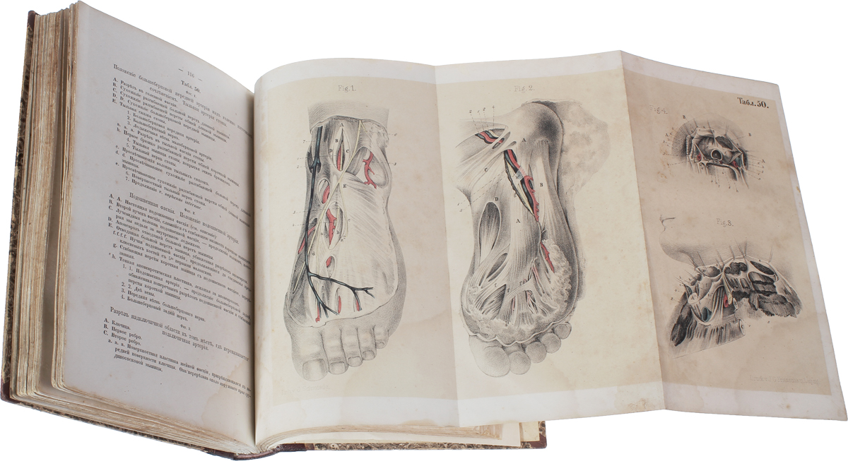Первый атлас топографической анатомии Пирогова. Атлас Пирогова Ледяная анатомия. Хирургическая анатомия артериальных стволов и фасций Пирогова.