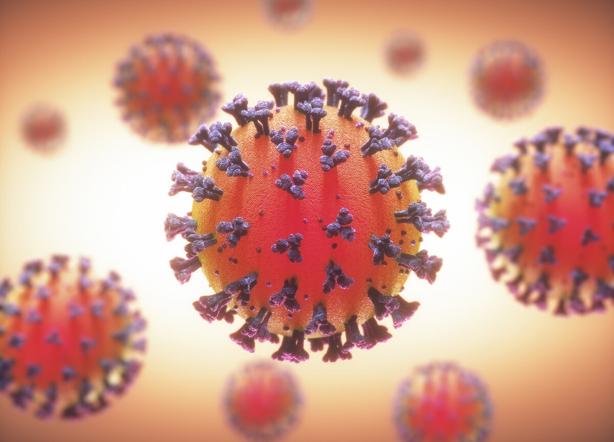 Интересные факты о коронавирусе