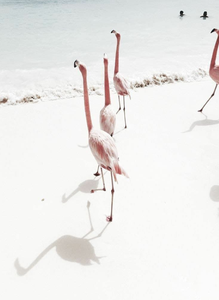 Восточные общества это бывшее небесное общество, недалеко ушли, западные это бывшие восточные, решили улучшать, а не возвращаться, а бывшие западные это адово "общество", сборище, торжество "демократии". Власть лучших среди отцов это Божее установление, а власть большинства отцов и так далее - этого демон изобретатель, умертвил такой властью всё то. Большинство каково? Куда же оно приведёт? Что и видим. Нет разумеющего, нет ни одного, все развратились, сделались равно непотребными в деле служения Богу, все бегают, суетятся, улучшают, тогда как беспорядок исправляется возвращением вещей на свои места. Знают же. Не хотят. Значит лукавят. И при этом думают, что служат не лукавому, а Богу. Небольшие регулярные правки лукавого, его слуг, падших, выдающих себя за кающихся, и во что превратилось Божее установление об управлении человеческим обществом на земле? Бога держаться - иного Богом не предусмотрено, и это естественно обращено к главам семей. Бьют по главной связи, и от этого рассыпается всё, если главную не восстанавливают. Предлагая ей конечно подмену, "лучше будет так". Не они, а мы будет Божьим пастырями! Нет, мы! Нет, мы… И пастыри во что превратились? Кто их слушается? И этих никто не слушается. Другое слушаться люди не будут, так как только отцов Бог поставил над людьми. Как решат, так и будет, хоть пусть убьют своих. "Я тебя породил, я тебя и...". Вольны делать в своём что хотят, что считают нужным. Какие-то 200 лет местным ценностям, выдаваемых за демократию, и иного вида сера и огонь с неба посылаются на землю. Сильный мира сего и диктует поведение на земле, в своей стихии находится, его бог временное, не от Бога, не от вечного суждение его, а от мирского, суетного. Небесным только пахнет, возле золота лежало. И не смеют пикнуть в ответ лишь христианские общества, включая восточно-христианские (православные), "пастырей" которых голоса "против" учитываются земными властями лишь для "галочки", мёртвому припарка. Божее надо выполнять, Божее не надо "улучшать", подслуживать на стороне дьяволу при службе Богу, такая не является службой Богу. А иному востоку, магометанским и иудейским обществам глубоко наплевать на выдаваемое за толерантность. Бога слушаются, говорящего истребить всякого, кто расскажет о своём грехе, представит его как завоевание, выдаст за свободу. Сказать о своём грехе как о поражении и рабстве, без оправданий, можно и нужно лишь на исповеди в личной молитве, а во время молитвы общины христиан исповедь принимает Богочеловек, что естественно для существенных грехов. Очищает Бог душу от последствий грехов и при покаянии один на один. А если нужно присутствие Его Сына, единородного Слова Его (надо ли несколько всесильных? действенный образ Которого присутствует при собрании общины, которое ради Причащения, во время чего остальные Таинства, их всего 7, среди которых регулярные, раз в жизни и по необходимости), так это для того, чтобы было усилие, без регулярного употребления которого не становятся сильнее. Итак, чтобы снова не потерялось главное, должна общая молитва заканчиваться Причастием. Собственно ради чего она. Частью Божьего естества становятся при этом. Сообщником святой Божьей жизни. Перед самым главным естественно всё выше моления. Предпоследнее: "Богородицу за хлеб наш небесный благодарим!". О чём пророчеств множество, например манна небесная, хлеб ангельский, который был реальностью на протяжении 40 лет. Разве мы не в пустыне? Что это по сравнению со всем? Разве в этих песках мы брошены и с неба не подаётся ничего? Сын матери не откажет, а Божий Сын Божией Матери? Любовь, которой изменяют, открывает раны на своём сердце, припадайте... Всё пение у христиан отныне в аудиозаписи. Есть конституция общей молитвы с обязательным провозглашением и пением того или иного, а остальное наполняется тем, кто возглавляет, правит общую молитву, служа для молящихся образом Сына Божьего, с которым пришли к Богу. Давно уже лишь в этот способ не напрасно приходить к Богу. Бог не знал, с кем получится к Нему подойти? Для того и Сына Своего послал стать человеком. Чтобы привёл к Нему. Вот, идите, это ваш путь ко Мне. Последнее перед главным: "Отец наш небесный! Отче, да славится имя Твоё, да придёт царство Твоё, да будет воля Твоя и на земле, как на небе! Хлеб наш насущный подавай нам на каждый день. И прости нам грехи наши, потому что и мы прощаем согрешения всякому должнику нашему. И не введи нас в искушение, но избавь нас от лукавого". И выходит Христос с Чашей, предлагая воскресшее тело Своё, которое и этим избавлением является. Приготовил это Блюдо, испив чашу страданий сполна. Ради прекращения страданий от греха и избавления от вечных страданий вечных созданий Своих. Ни одна частица Божия не может быть Богом забыта, где б с нею ни оказалось сердце. Разум человеческий проливал кровь в борьбе с грехом, после чего принимал Дух, которым его победил. Наконец грех отошёл и уже не приближается, тьма не может приблизиться к источнику света. Источник удаляется и тьма приходит. Поэтому Причащение раз в неделю. Убрать всё лишнее на пути к этому. Это не мудрость человеческая, чтобы ею руководствоваться в суждениях, кому Причащаться, а кому нет. Бог разберётся. Не разберётся? Каждое сердце положит на лопатки, Его любовь победит всякое. Спасутся, кто служил этому, не мешал, смиренно на своём месте находился, ничего не говорил, держа Чашу, дали подержать, не моё дело, моё? и кто на Исповеди говорил лишь "прощаю", дали сказать, что я в этом понимаю? что знаю из того, что Бог знает? и после этого рассуждать?? на основании чего? Вернуться на своё место, а то понесло. А не надо было несуном быть, элементы священного облачения тунуть с собой. Они часть места общей молитвы, и кто сделал их своими, тот отныне не спасётся. Всё поставлено на свои места. Всё делать в соответствии с этим. Крест и другие элементы священного облачения (ярмо, узы и мантия) никогда не должны покидать и небо, возвышение перед иконостасом, куда восходить раз в неделю, если монах, и раз в месяц, если муж. Получением на это прав занимается глава общины, который этих прав не имеет и кого считает нужным посылает за получением их к старшему по этому делу на определённой территории, называемому смотрителем (греч.: епископом), который естественно лучший среди монахов монастыря, его старший брат (греч.: архимандрит), который ничем не отличается от других, все как он, пример другим, сидит в келии и оттуда без надобности не выходит. Помыться, постираться, покушать, в туалет, в храм, исполнить небольшую обязанность по монастырю. Всё. Что непонятно? Иное не монастырь, тот же мир, соответственно мир вокруг него в убитом состоянии, без тыла. Дела на передовой соответствуют этому. Сейчас поражение на всех фронтах. И при этом говорят, что есть монастыри. Если б были монастыри, в них нельзя было бы зайти и среди них не было бы женских. Женские обители, да, что к монашеству не имеет никакого отношения. Наполняться монастырям (их 100) и обителям (их 10) вдовцами и  вдовами, которые всех своих выдали замуж, всем своим взяли жён, и нет желания снова заступать на служение Богу в супружестве, а также теми, кого отцы благословили завершить там подготовку к служению в упряжи (супружестве). Всем готовиться к одному, а там как Бог управит. Не в супружестве Ему служение, без жены - это дело временное (никому не известно, как долго, а пока занимается своим делом, находится на своём месте, готовится, а остальное не интересует, есть над ним отец или тот, кого отец над ним поставил, и ему возьмут жену в своё время, а не возьмут, значит в монашестве, без жены скончается, Бог распорядился, значит так надо), и это всегда большое исключение, которое не может быть в женском исполнении. Время заблуждений, похоронившее множество православных обществ (с западных нет спроса), пройдено. Православие перестаёт пасти задних, оно выходит в лидеры. 