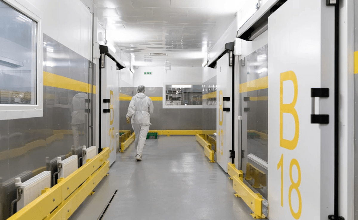 как устроены заводы. цех по производству смартфонов. фабрика фаберлик в москве. проект мусоросжигательного завода. фармацевтический завод план.