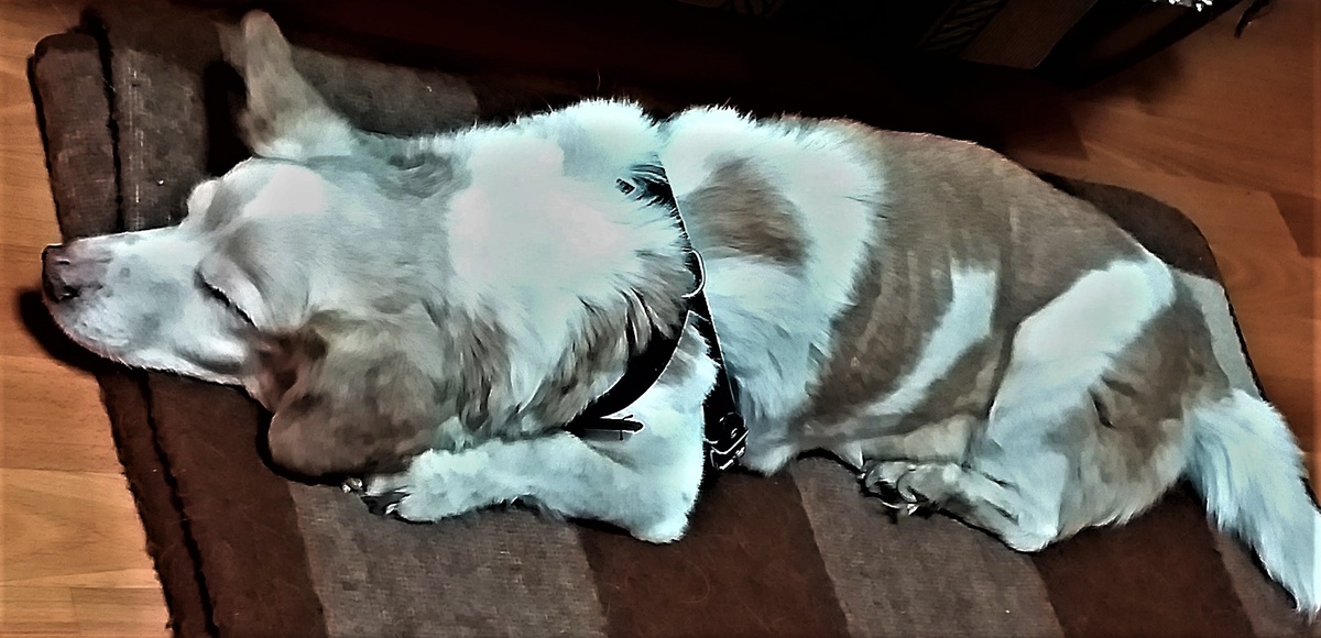 Совсем старенький