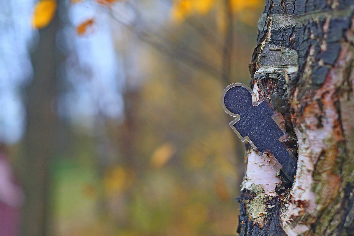 Такой энергетик дает сбалансированное питание растениям и приносит бизнесу деньги.
