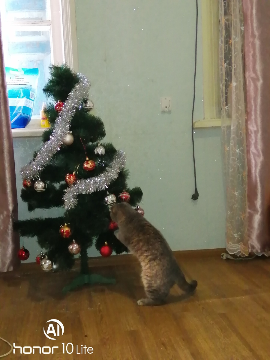 Личное фото.