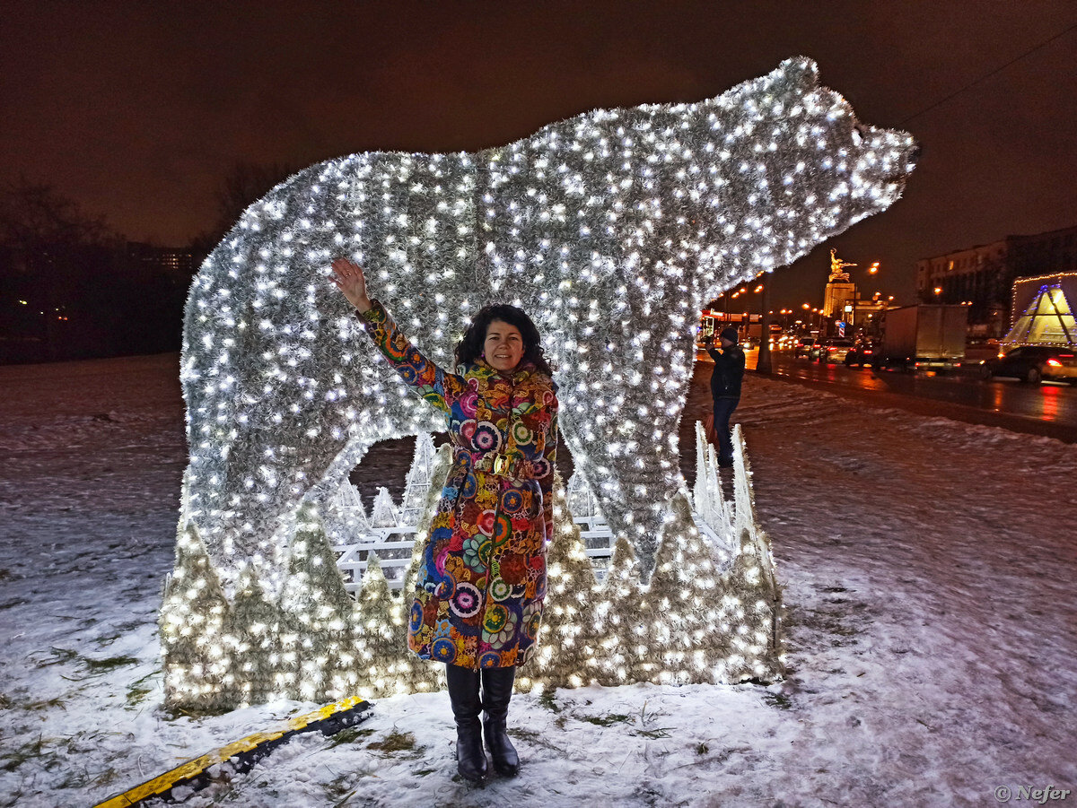 проспект мира москва медведи