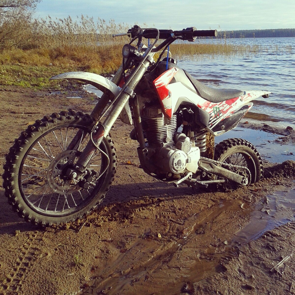 wels crf 250