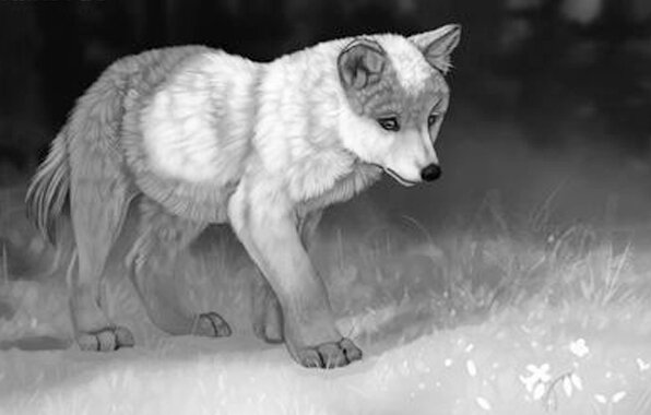 изображение взято из интернета как вольная интерпретация, автор не известен